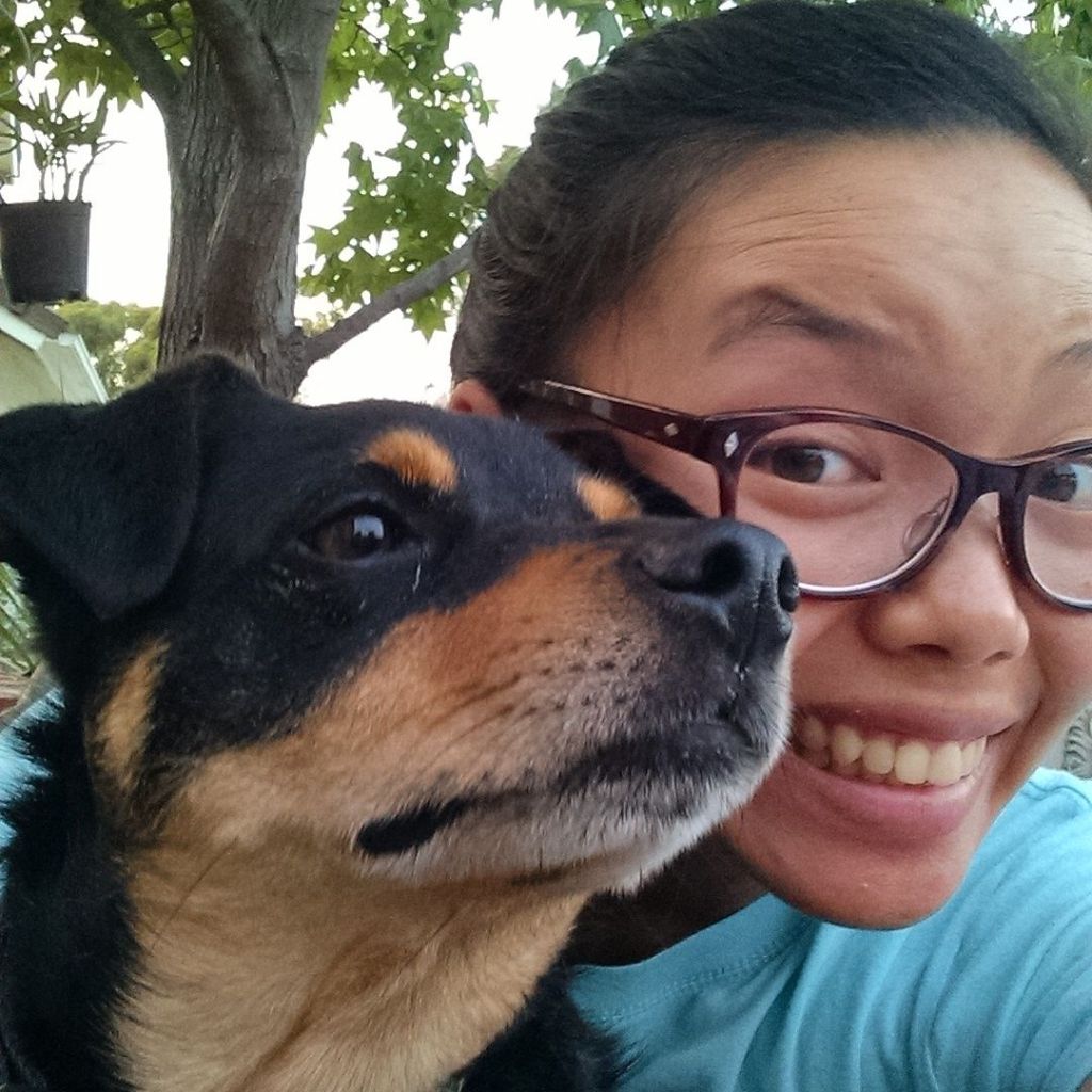 A miniature doberman pinscher and a woman wearing glasses